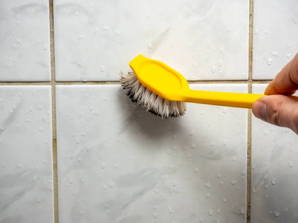 Best Professional Mold Removal  in Wyoming, PA