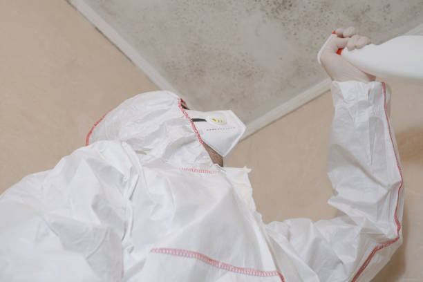 Best Commercial Mold Removal  in Wyoming, PA