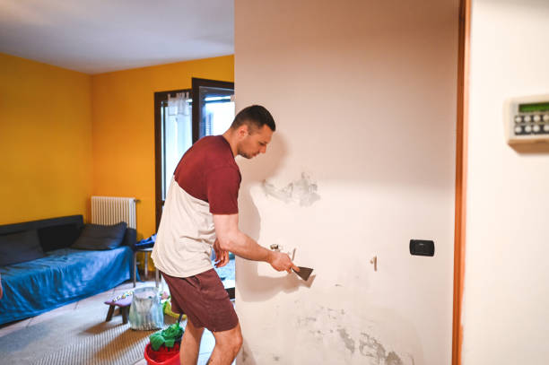 Best Crawl Space Mold Removal  in Wyoming, PA